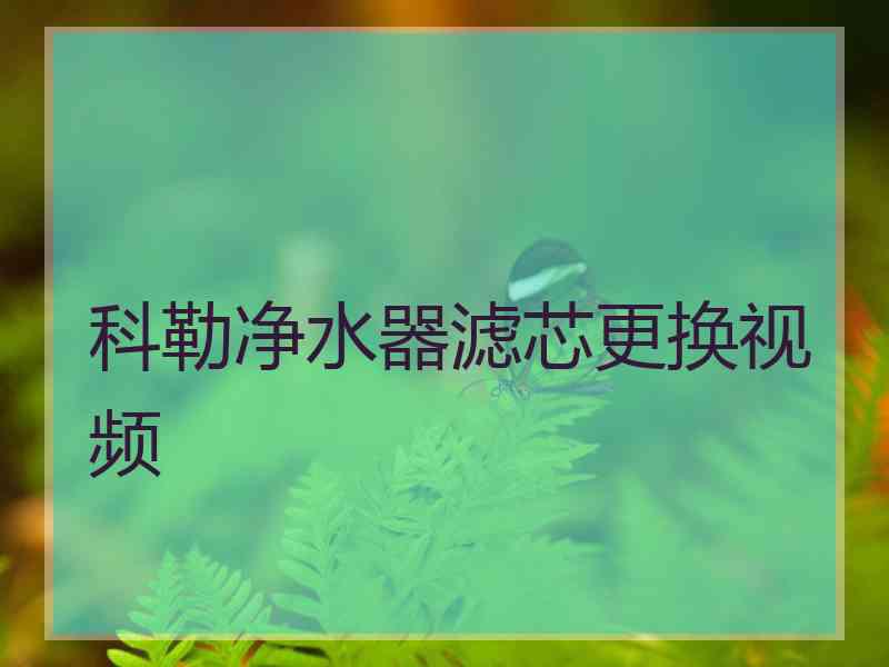 科勒净水器滤芯更换视频