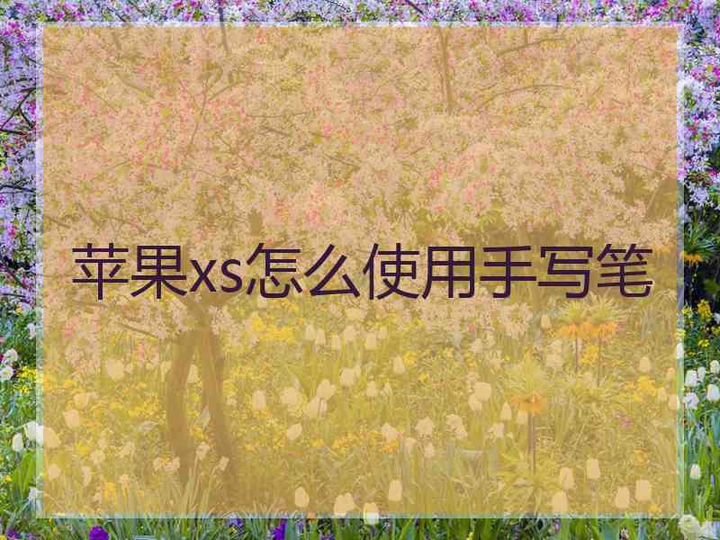 苹果xs怎么使用手写笔