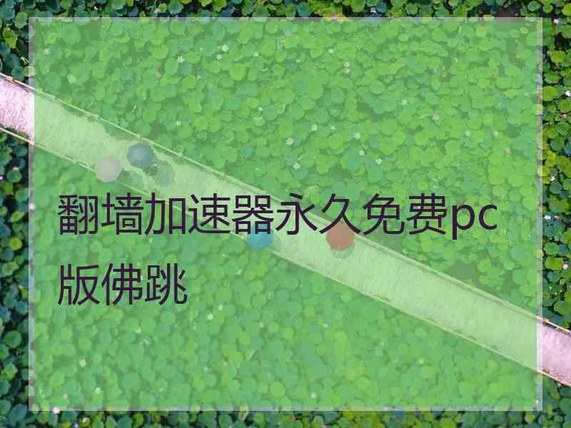 翻墙加速器永久免费pc版佛跳