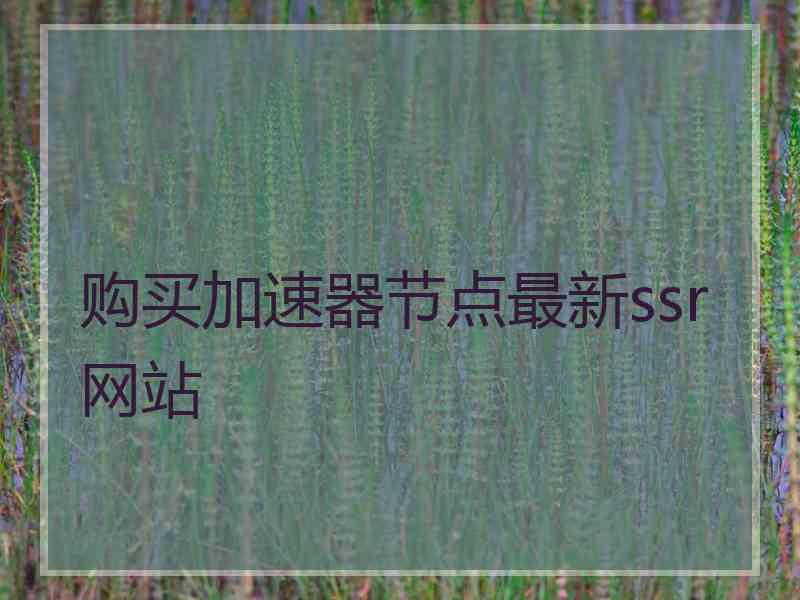 购买加速器节点最新ssr网站