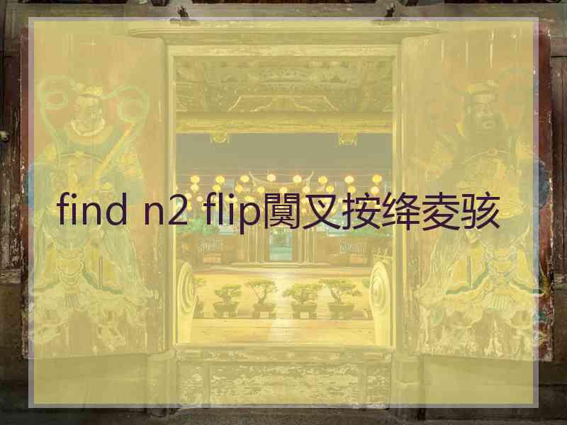 find n2 flip闃叉按绛夌骇