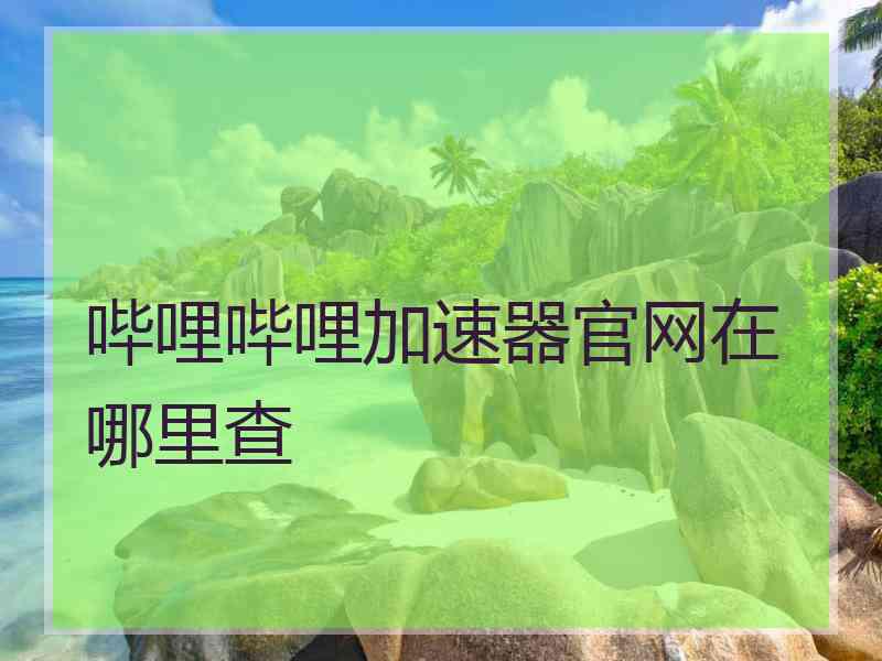 哔哩哔哩加速器官网在哪里查