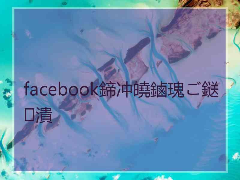 facebook鍗冲皢鏀瑰ご鎹㈤潰