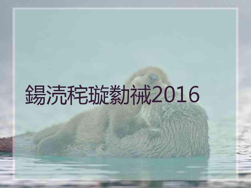 鍚涜秺璇勬祴2016