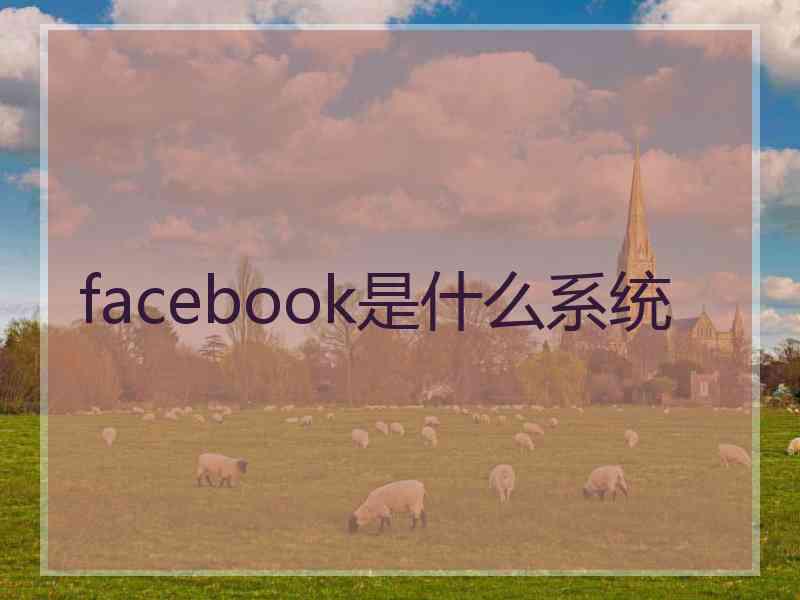 facebook是什么系统