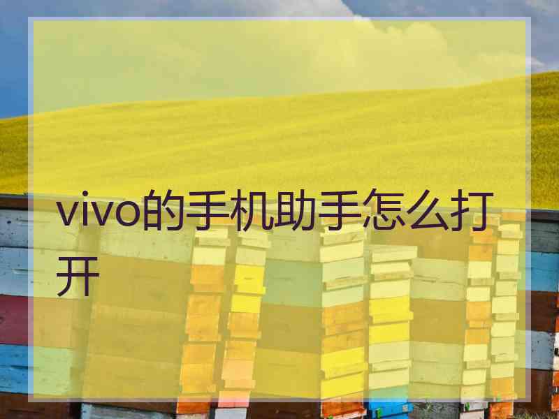 vivo的手机助手怎么打开