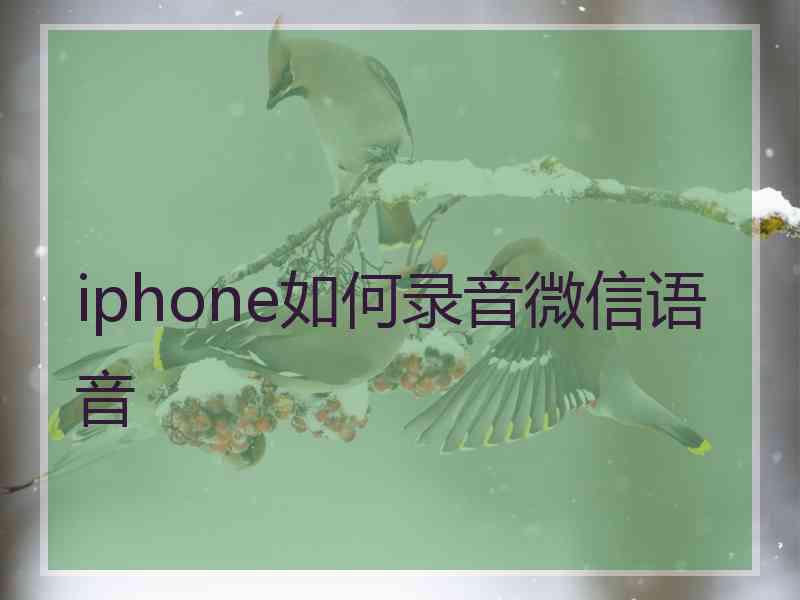 iphone如何录音微信语音