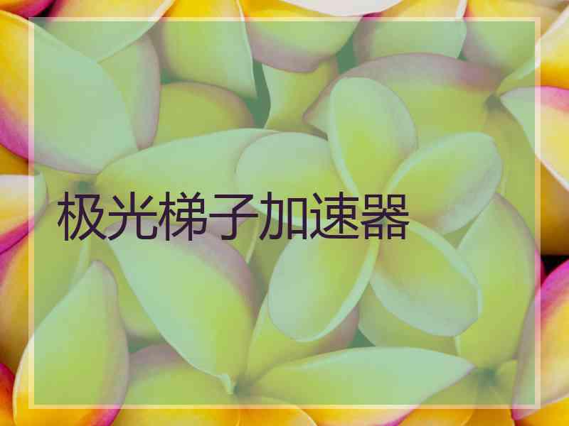 极光梯子加速器