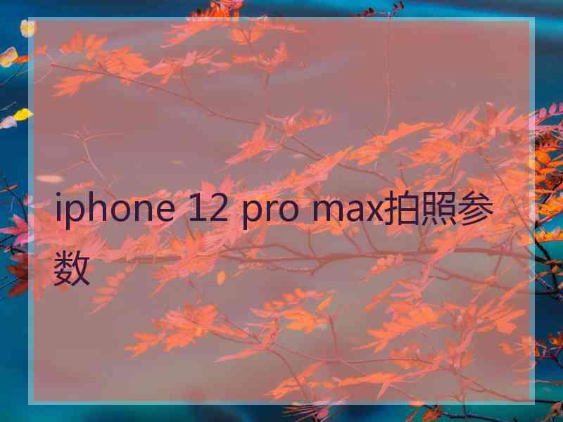 iphone 12 pro max拍照参数