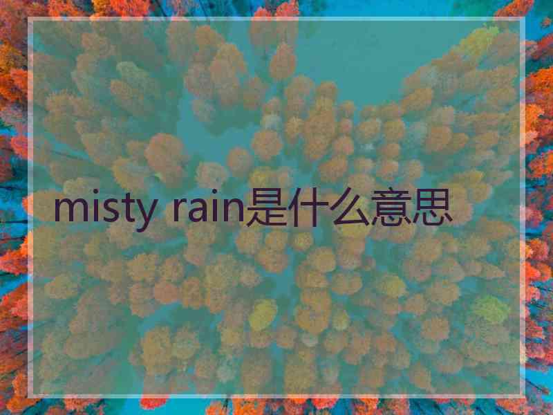 misty rain是什么意思