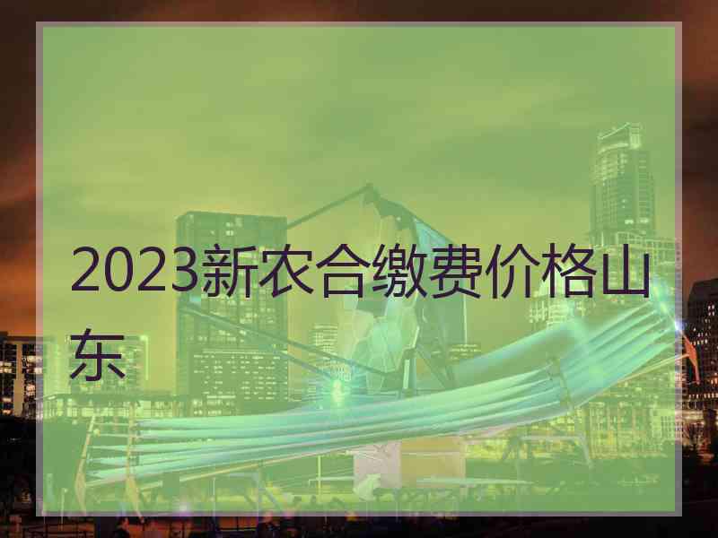 2023新农合缴费价格山东