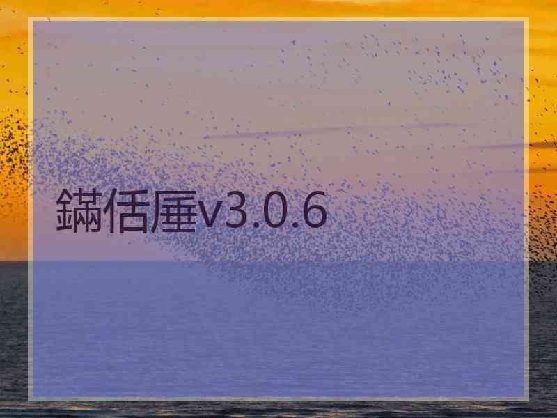 鏋佸厜v3.0.6