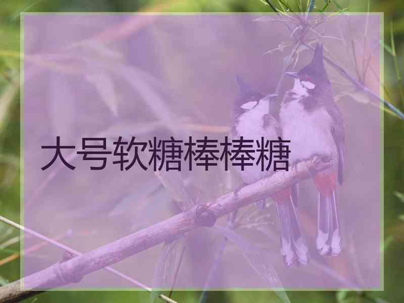 大号软糖棒棒糖