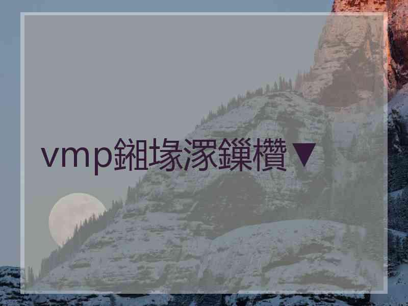 vmp鎺堟潈鏁欑▼