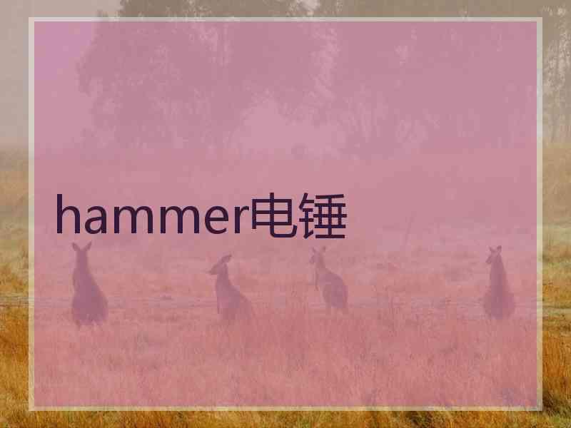 hammer电锤