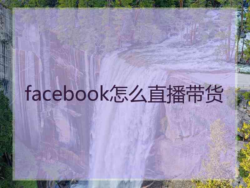 facebook怎么直播带货