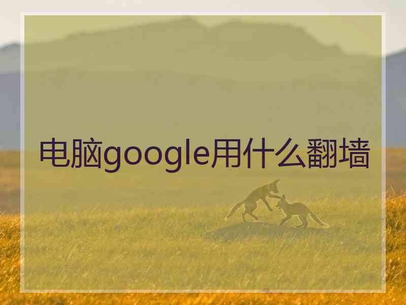 电脑google用什么翻墙