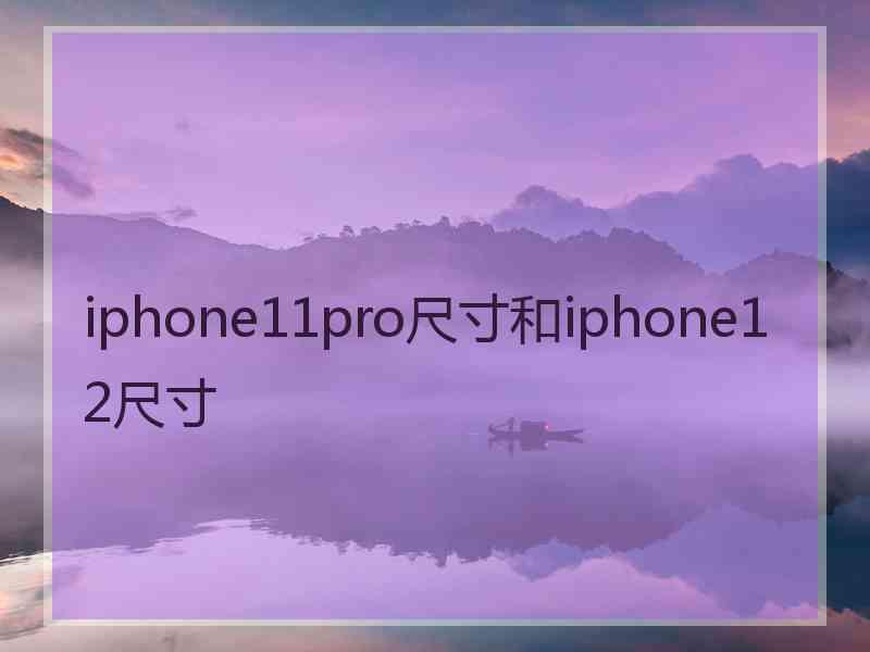 iphone11pro尺寸和iphone12尺寸