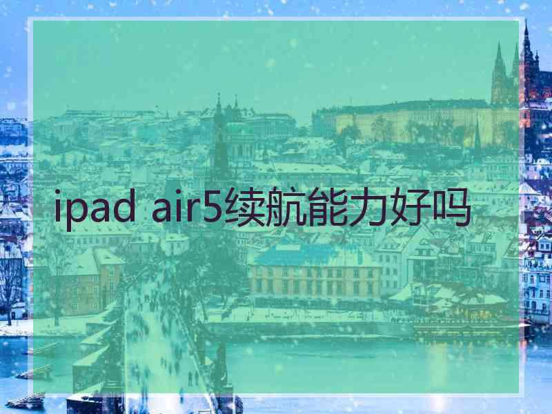 ipad air5续航能力好吗