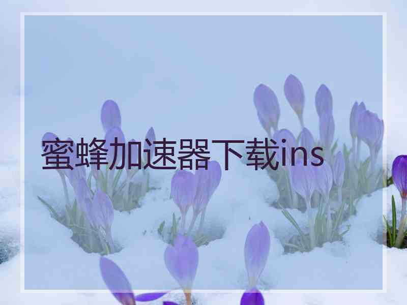 蜜蜂加速器下载ins