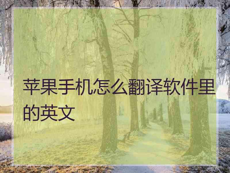 苹果手机怎么翻译软件里的英文