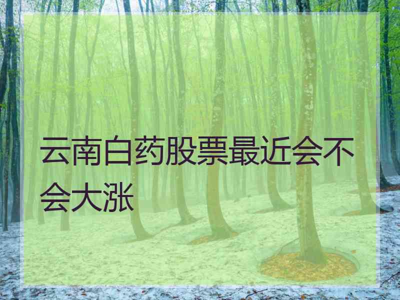 云南白药股票最近会不会大涨