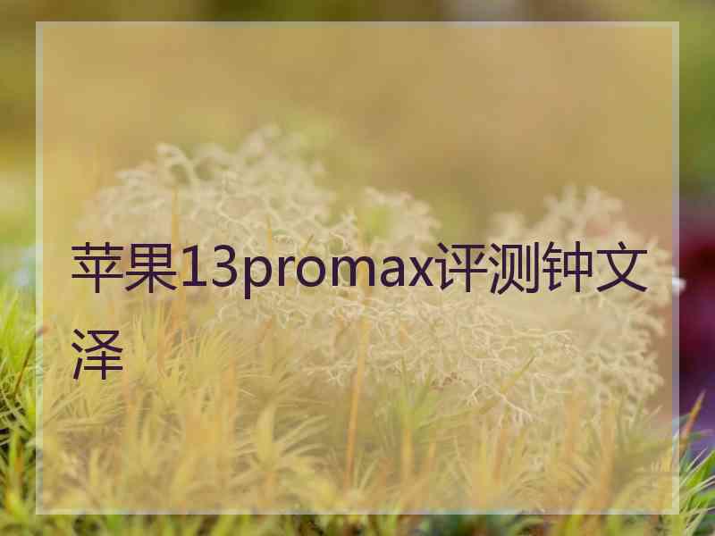 苹果13promax评测钟文泽