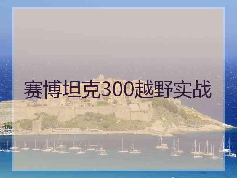 赛博坦克300越野实战