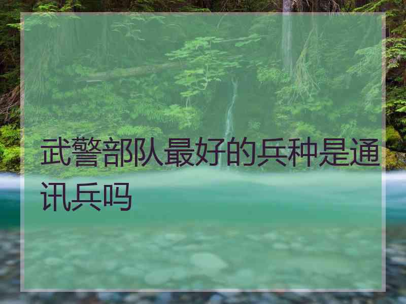 武警部队最好的兵种是通讯兵吗