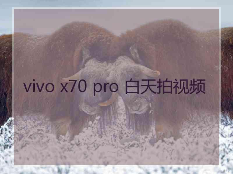 vivo x70 pro 白天拍视频