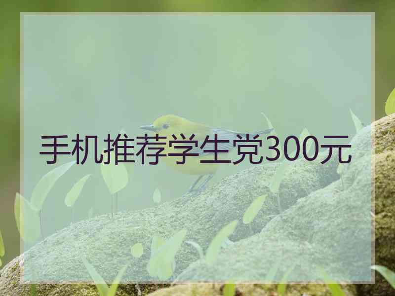 手机推荐学生党300元