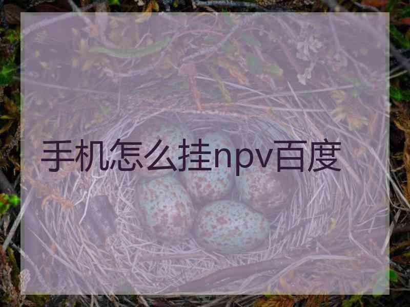 手机怎么挂npv百度