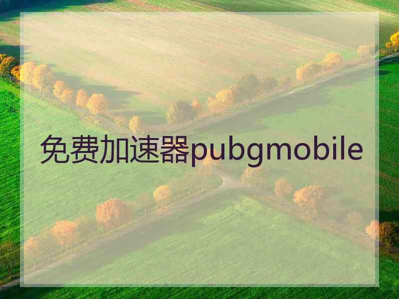 免费加速器pubgmobile