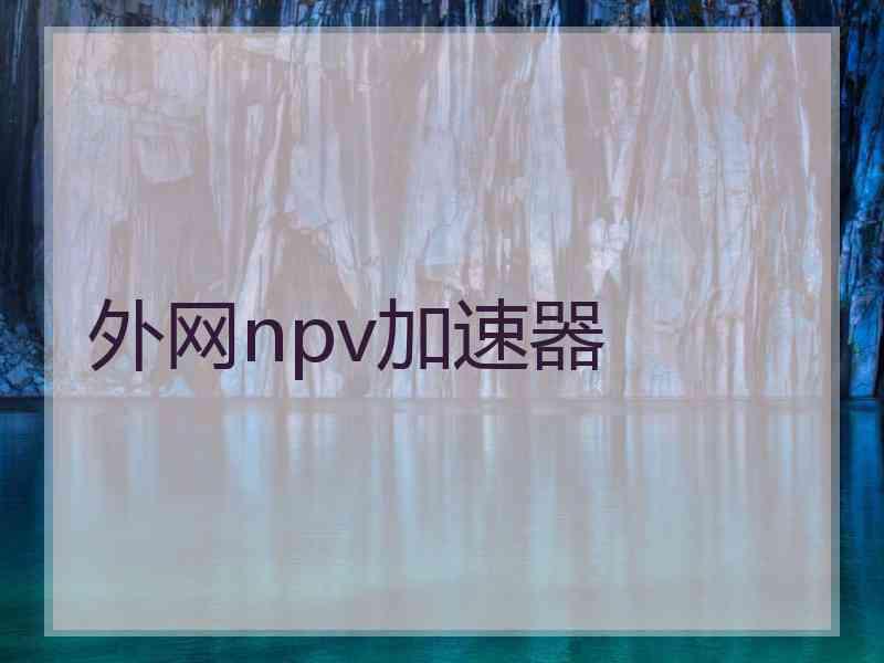 外网npv加速器