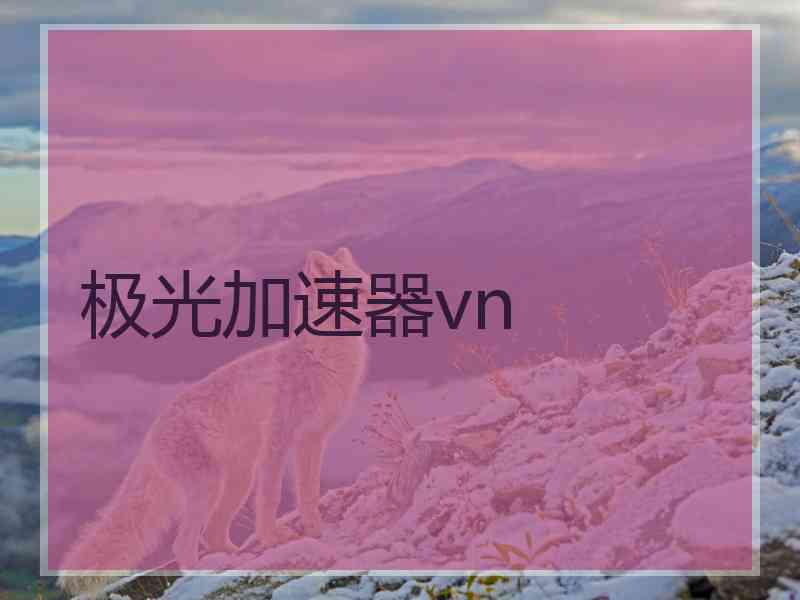 极光加速器vn