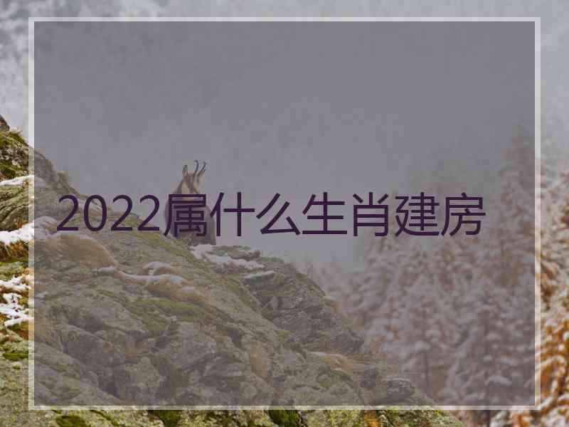 2022属什么生肖建房