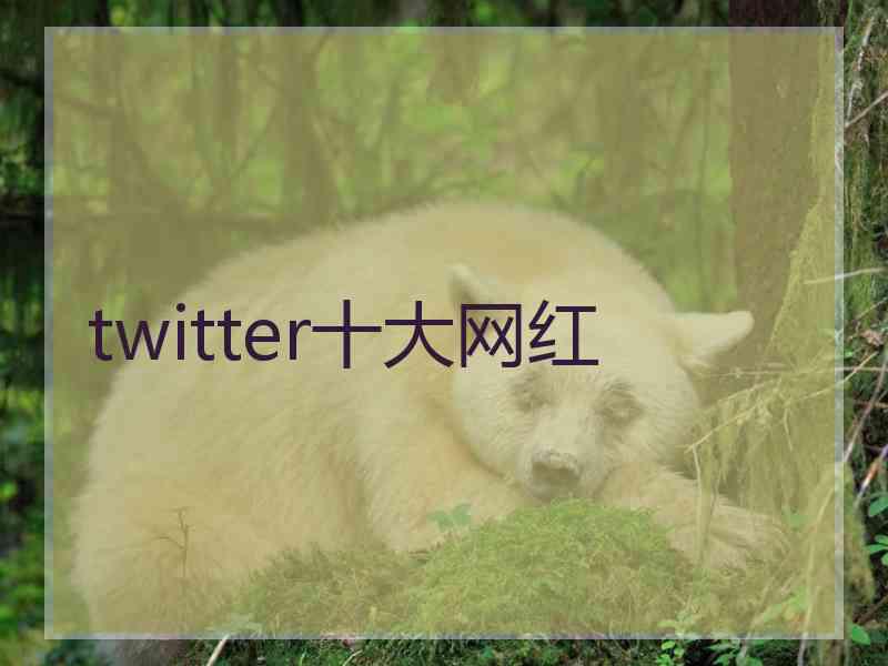 twitter十大网红