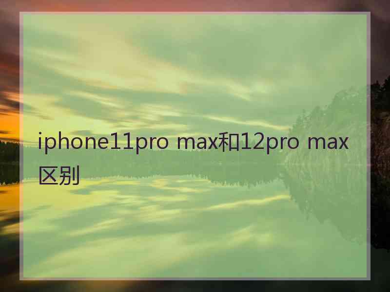 iphone11pro max和12pro max区别