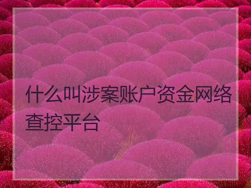 什么叫涉案账户资金网络查控平台