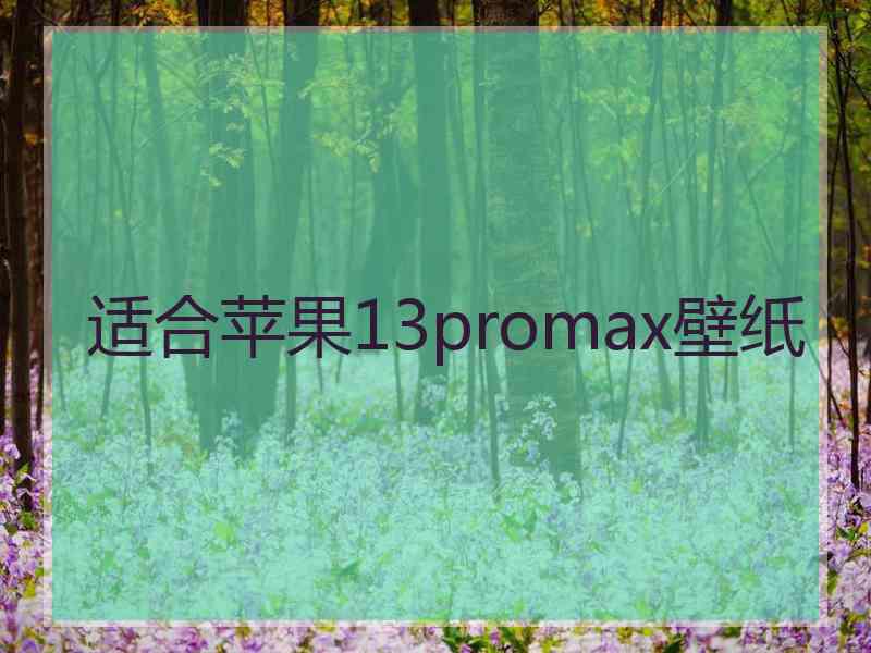 适合苹果13promax壁纸