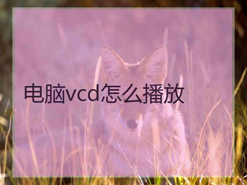 电脑vcd怎么播放