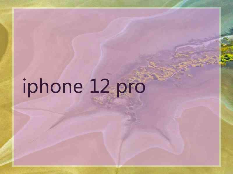 iphone 12 pro