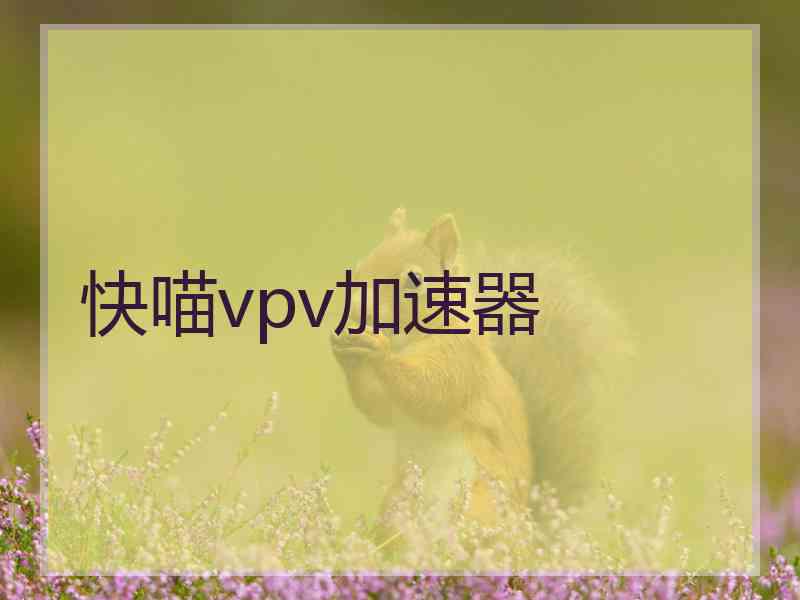 快喵vpv加速器