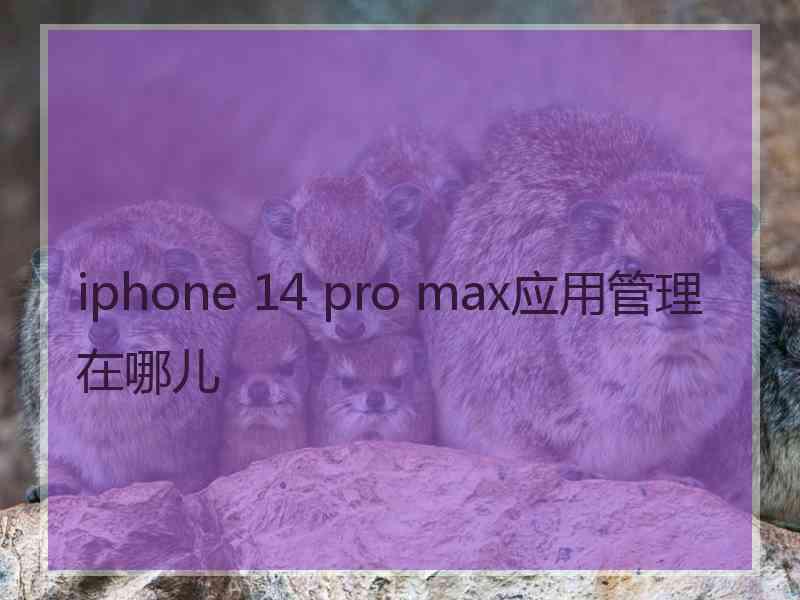 iphone 14 pro max应用管理在哪儿