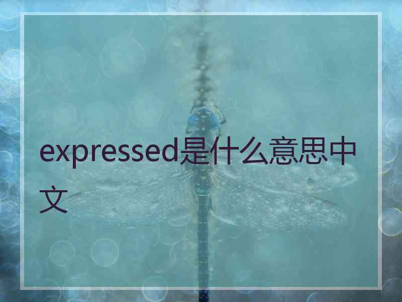 expressed是什么意思中文