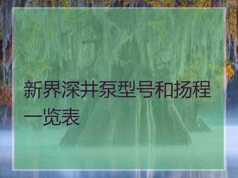 新界深井泵型号和扬程一览表