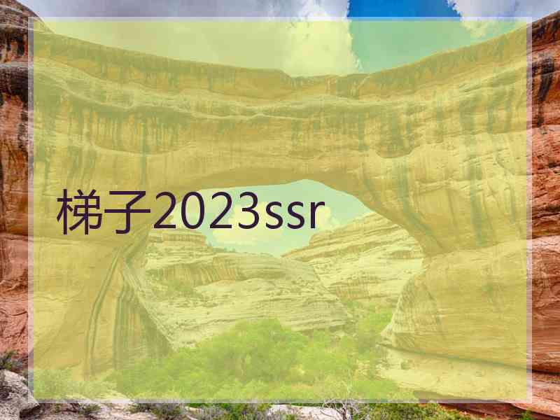 梯子2023ssr