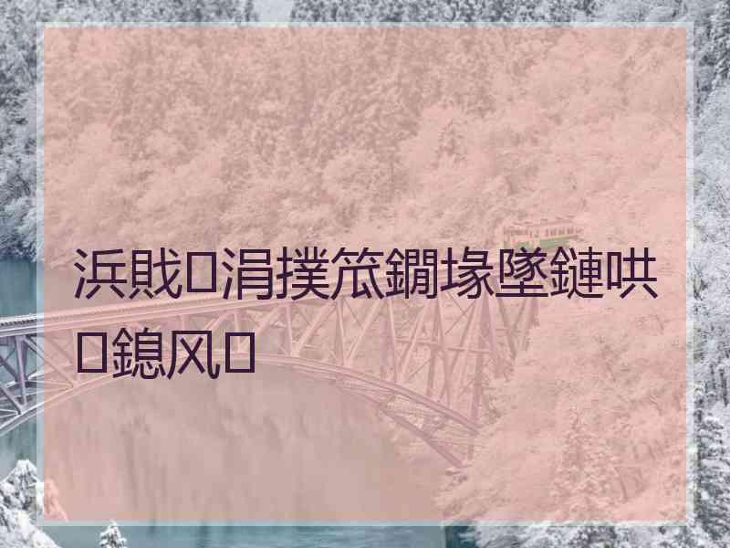 浜戝涓撲笟鐗堟墜鏈哄鎴风