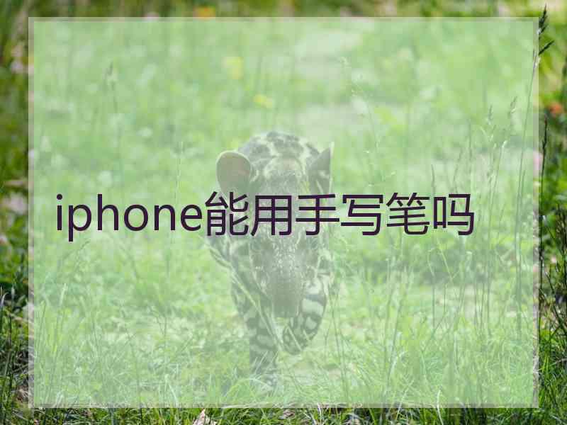 iphone能用手写笔吗