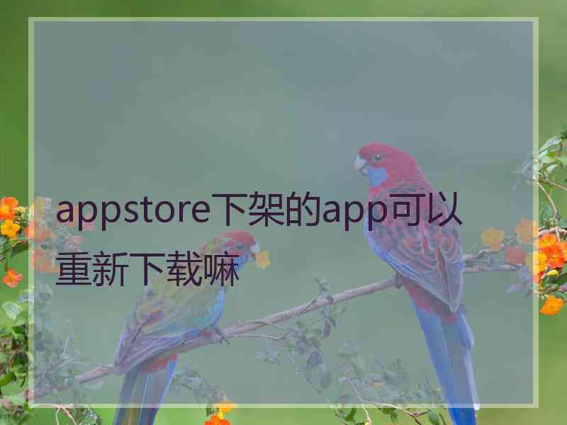 appstore下架的app可以重新下载嘛